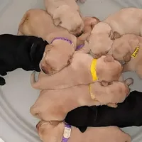 processed/4dbf1fb5-0dfe-4228-93f4-cfac9f049294/facility/3b5fb141-f56f-438a-878b-e4e7c3aa09fc