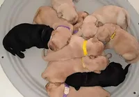 processed/4dbf1fb5-0dfe-4228-93f4-cfac9f049294/facility/3b5fb141-f56f-438a-878b-e4e7c3aa09fc