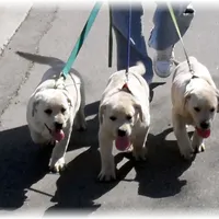 processed/4dbf1fb5-0dfe-4228-93f4-cfac9f049294/facility/51eb70fd-f26d-4c15-bdbd-a3f8b75d4574