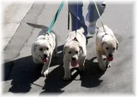 processed/4dbf1fb5-0dfe-4228-93f4-cfac9f049294/facility/51eb70fd-f26d-4c15-bdbd-a3f8b75d4574