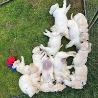 processed/4dbf1fb5-0dfe-4228-93f4-cfac9f049294/facility/a86e9e08-0e9e-47f3-bc75-8545e9cd7b57