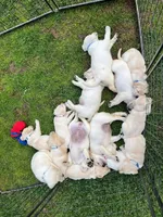 processed/4dbf1fb5-0dfe-4228-93f4-cfac9f049294/facility/a86e9e08-0e9e-47f3-bc75-8545e9cd7b57