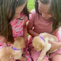 processed/4dbf1fb5-0dfe-4228-93f4-cfac9f049294/facility/e2da6c22-b7c4-46df-9683-baf784141c2e