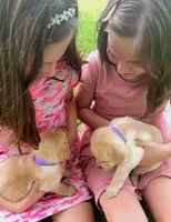 processed/4dbf1fb5-0dfe-4228-93f4-cfac9f049294/facility/e2da6c22-b7c4-46df-9683-baf784141c2e