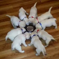 processed/4dbf1fb5-0dfe-4228-93f4-cfac9f049294/facility/fb0be30b-fe13-4ba9-af8f-22a8fb3bd5ee