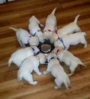 processed/4dbf1fb5-0dfe-4228-93f4-cfac9f049294/facility/fb0be30b-fe13-4ba9-af8f-22a8fb3bd5ee