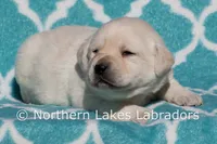 processed/4dbf1fb5-0dfe-4228-93f4-cfac9f049294/listing/06804bab-608f-4954-bbd3-00903b80e7f2/18c72d38-7a83-4689-a61c-9fe4753a0ebc