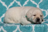 processed/4dbf1fb5-0dfe-4228-93f4-cfac9f049294/listing/06804bab-608f-4954-bbd3-00903b80e7f2/522f8e63-ba2e-4b7f-95a9-eaa1b8ea3077