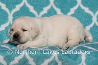 processed/4dbf1fb5-0dfe-4228-93f4-cfac9f049294/listing/06804bab-608f-4954-bbd3-00903b80e7f2/a04e5a89-d502-4b9a-a7d0-ee04f5009755