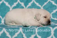 processed/4dbf1fb5-0dfe-4228-93f4-cfac9f049294/listing/06804bab-608f-4954-bbd3-00903b80e7f2/c8962013-ffd3-4326-b73c-a19c3d7c1843