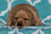 processed/4dbf1fb5-0dfe-4228-93f4-cfac9f049294/listing/19e293c4-69f7-415b-8ceb-cf9db4cd66ee/5c0de5f0-09d4-4c98-a3a3-f49db24bc365