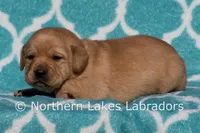 processed/4dbf1fb5-0dfe-4228-93f4-cfac9f049294/listing/19e293c4-69f7-415b-8ceb-cf9db4cd66ee/b6b03b93-cf92-48c2-be65-68a1641282b3