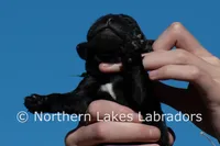 processed/4dbf1fb5-0dfe-4228-93f4-cfac9f049294/listing/29a9dff6-5ef9-4ab8-9d35-a299be174c32/28958743-f9c1-4a3e-8fd9-e0cce58111f9