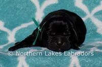 processed/4dbf1fb5-0dfe-4228-93f4-cfac9f049294/listing/29a9dff6-5ef9-4ab8-9d35-a299be174c32/3be5e8d0-2e24-485d-9c28-a045ddbe26b6