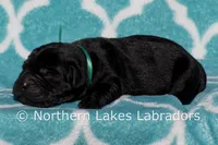 processed/4dbf1fb5-0dfe-4228-93f4-cfac9f049294/listing/29a9dff6-5ef9-4ab8-9d35-a299be174c32/4f895aa7-9fd6-4094-a2f7-78b4a5c64d6a