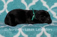 processed/4dbf1fb5-0dfe-4228-93f4-cfac9f049294/listing/29a9dff6-5ef9-4ab8-9d35-a299be174c32/57d8ae77-95c4-445c-9a5c-ba4fed5ffbf8