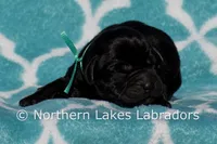 processed/4dbf1fb5-0dfe-4228-93f4-cfac9f049294/listing/29a9dff6-5ef9-4ab8-9d35-a299be174c32/655cd4b3-9761-4477-bd4e-84766e81792a