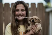 processed/4dbf1fb5-0dfe-4228-93f4-cfac9f049294/listing/35dfe413-d65b-4a57-9105-ebc60d07d981/65d3f952-77c7-49b0-9660-c19db4aac791