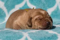 processed/4dbf1fb5-0dfe-4228-93f4-cfac9f049294/listing/35dfe413-d65b-4a57-9105-ebc60d07d981/7e09b228-7d2d-4474-98d4-dba90069d220