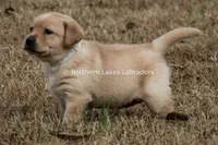 processed/4dbf1fb5-0dfe-4228-93f4-cfac9f049294/listing/35dfe413-d65b-4a57-9105-ebc60d07d981/83ac7226-f30c-4ae2-ac19-255afab3192f