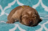 processed/4dbf1fb5-0dfe-4228-93f4-cfac9f049294/listing/35dfe413-d65b-4a57-9105-ebc60d07d981/9d335c11-d61e-412f-bc52-d9b4cda06ac8