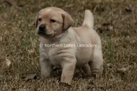 processed/4dbf1fb5-0dfe-4228-93f4-cfac9f049294/listing/35dfe413-d65b-4a57-9105-ebc60d07d981/ce4144b4-ec5f-4302-9786-ffdf885f3b19