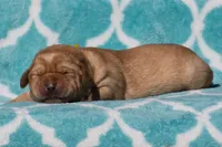 processed/4dbf1fb5-0dfe-4228-93f4-cfac9f049294/listing/35dfe413-d65b-4a57-9105-ebc60d07d981/e351e435-24ed-451c-8704-b0e27e1b1496