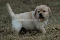 processed/4dbf1fb5-0dfe-4228-93f4-cfac9f049294/listing/89d1d727-61f9-427a-b577-d92f18e9f6f4/6034c058-5aa3-4746-82ed-d411899ba16f