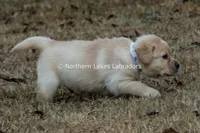 processed/4dbf1fb5-0dfe-4228-93f4-cfac9f049294/listing/89d1d727-61f9-427a-b577-d92f18e9f6f4/eb992820-7c95-496d-874f-337c1599cb8b