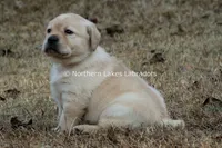 processed/4dbf1fb5-0dfe-4228-93f4-cfac9f049294/listing/89d1d727-61f9-427a-b577-d92f18e9f6f4/fa86d2c1-69e9-495c-9a06-af681ee8b368