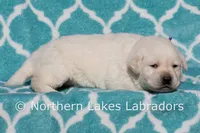 processed/4dbf1fb5-0dfe-4228-93f4-cfac9f049294/listing/b5db2ef6-307c-44cf-b588-43e90cfa580a/1f2ed7a4-91fb-4d17-883d-9d7af87e288c