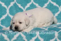 processed/4dbf1fb5-0dfe-4228-93f4-cfac9f049294/listing/b5db2ef6-307c-44cf-b588-43e90cfa580a/7e007e79-1ca4-4e80-a454-2ba8a9f8d64d