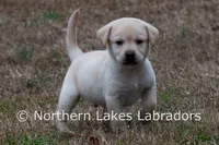 processed/4dbf1fb5-0dfe-4228-93f4-cfac9f049294/listing/cb48b455-13d5-4794-8ad6-401208c25638/0938fa29-2e4b-403f-8c5a-eeb04b3365b2