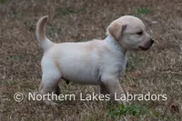 processed/4dbf1fb5-0dfe-4228-93f4-cfac9f049294/listing/cb48b455-13d5-4794-8ad6-401208c25638/0abbd937-08c6-4b63-971b-fc715844582e