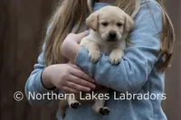 processed/4dbf1fb5-0dfe-4228-93f4-cfac9f049294/listing/cb48b455-13d5-4794-8ad6-401208c25638/12710fa5-b12f-42f8-81f6-0a3bdabf8665