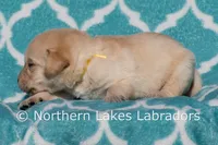 processed/4dbf1fb5-0dfe-4228-93f4-cfac9f049294/listing/cb48b455-13d5-4794-8ad6-401208c25638/1f53879c-a602-44eb-9761-71446410b70f