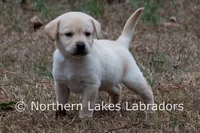 processed/4dbf1fb5-0dfe-4228-93f4-cfac9f049294/listing/cb48b455-13d5-4794-8ad6-401208c25638/6c7fdba1-2fd9-4b9c-93f9-1795d8224901