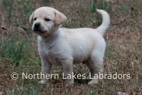 processed/4dbf1fb5-0dfe-4228-93f4-cfac9f049294/listing/cb48b455-13d5-4794-8ad6-401208c25638/7629cf2b-c267-40c8-88bd-21deb4fa1d9d