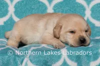 processed/4dbf1fb5-0dfe-4228-93f4-cfac9f049294/listing/cb48b455-13d5-4794-8ad6-401208c25638/bd80bf17-bce9-4b92-8d86-ea4880b9969e