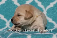 processed/4dbf1fb5-0dfe-4228-93f4-cfac9f049294/listing/cb48b455-13d5-4794-8ad6-401208c25638/f1b9e451-dbb0-4fa1-8b38-9ea97c15e693