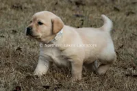 processed/4dbf1fb5-0dfe-4228-93f4-cfac9f049294/listing/cebb92ce-61e3-4e04-9c03-389f52886a48/35e375a5-16a5-4ea6-b4fd-ae9157179cf4