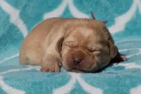 processed/4dbf1fb5-0dfe-4228-93f4-cfac9f049294/listing/cebb92ce-61e3-4e04-9c03-389f52886a48/43dd4408-eb24-4e5c-a422-21576409599d