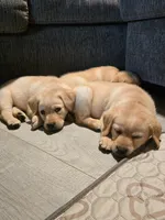 processed/4dbf1fb5-0dfe-4228-93f4-cfac9f049294/listing/cebb92ce-61e3-4e04-9c03-389f52886a48/4e223dd1-a31d-4d8e-8537-10995793268f