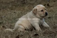 processed/4dbf1fb5-0dfe-4228-93f4-cfac9f049294/listing/cebb92ce-61e3-4e04-9c03-389f52886a48/a98bb000-716b-43cf-b257-16312b13cd15