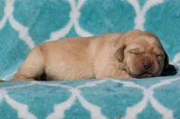 processed/4dbf1fb5-0dfe-4228-93f4-cfac9f049294/listing/cebb92ce-61e3-4e04-9c03-389f52886a48/c9a09b76-9f0c-4205-8258-397a97fa8826