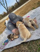 processed/4dbf1fb5-0dfe-4228-93f4-cfac9f049294/listing/cebb92ce-61e3-4e04-9c03-389f52886a48/ca82727e-c364-424b-9279-f48ee39acbf8