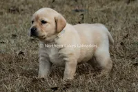 processed/4dbf1fb5-0dfe-4228-93f4-cfac9f049294/listing/cebb92ce-61e3-4e04-9c03-389f52886a48/cce6c337-03ec-4300-a398-87a03606aa66