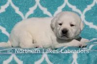 processed/4dbf1fb5-0dfe-4228-93f4-cfac9f049294/listing/e51ff22c-a210-46f1-9055-ea918eb62a9d/8c4cd39b-a12a-4970-97b5-99b81ac2bab7