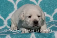 processed/4dbf1fb5-0dfe-4228-93f4-cfac9f049294/listing/e51ff22c-a210-46f1-9055-ea918eb62a9d/ce5138c4-89c3-46a8-921b-e349ce856410