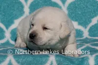 processed/4dbf1fb5-0dfe-4228-93f4-cfac9f049294/listing/e51ff22c-a210-46f1-9055-ea918eb62a9d/d13e134c-4670-4f12-b65d-cf2904d33d7e